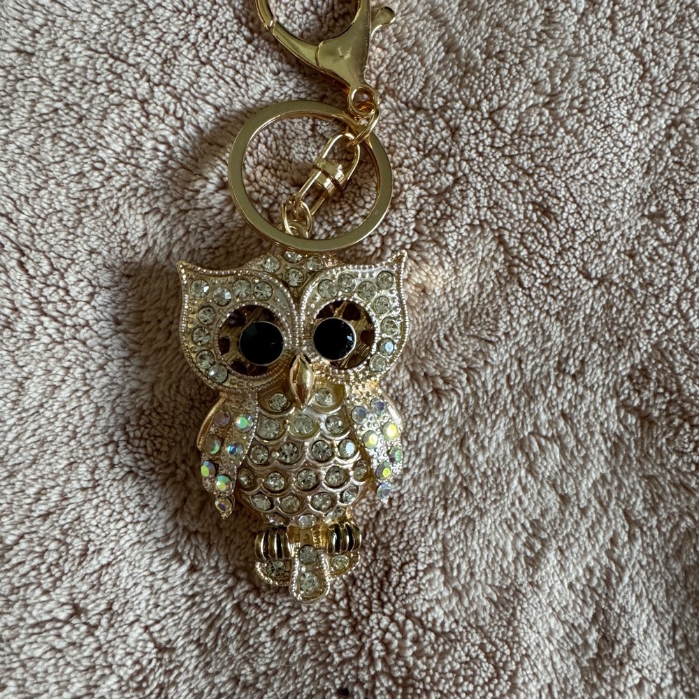 Crystal Owl Key chain, purse accessories